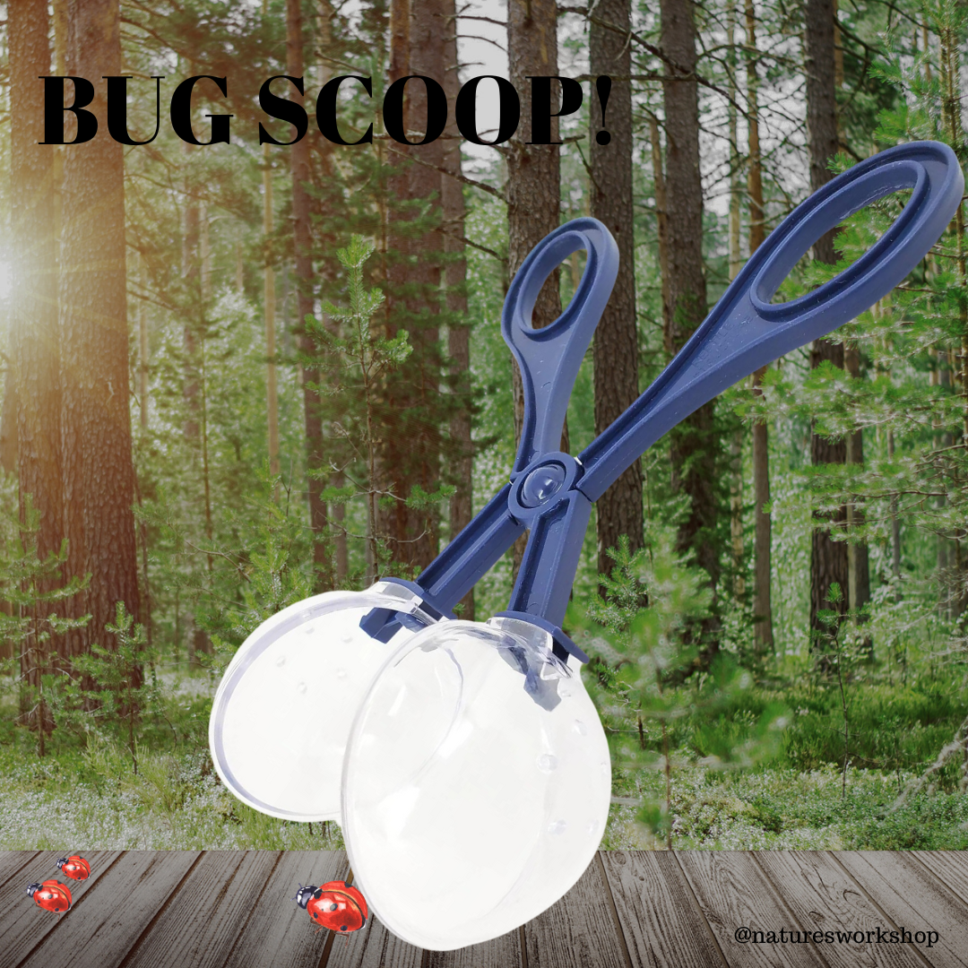 Bug Scoop Tongs