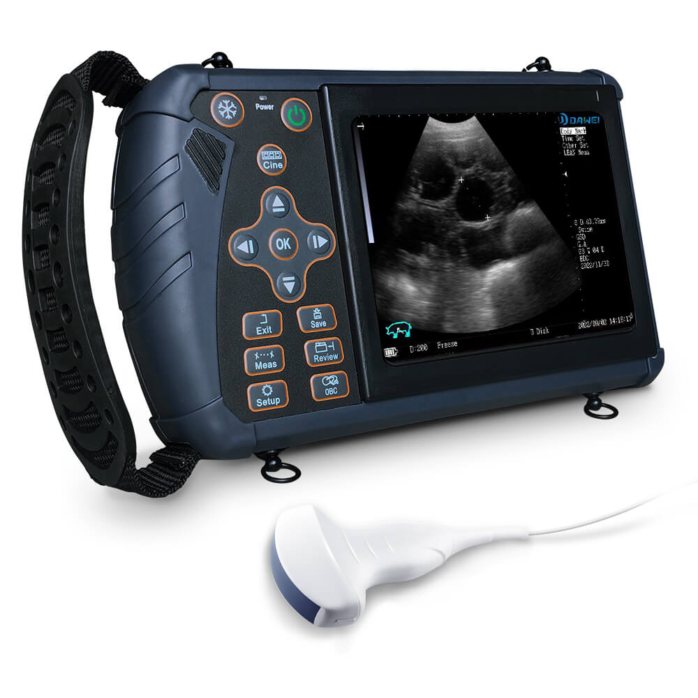 Portable Veterinary Ultrasound