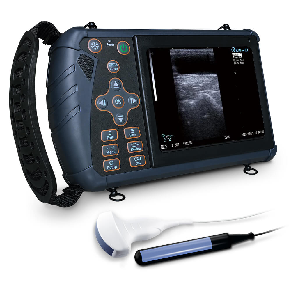 Portable Veterinary Ultrasound